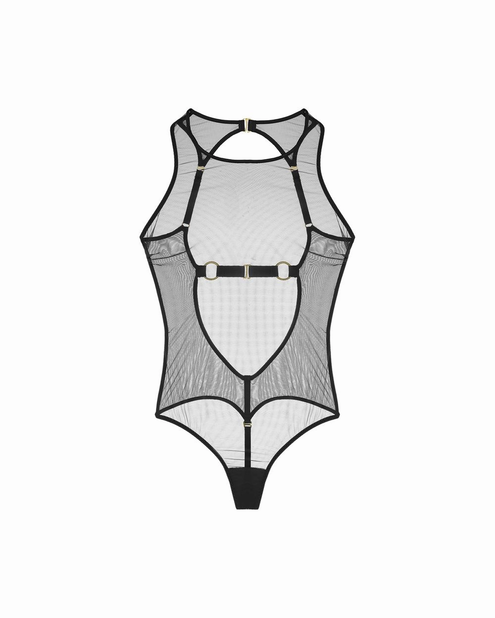 10 Year Exclusive Body