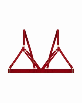 10 Year Exclusive Frame Bra