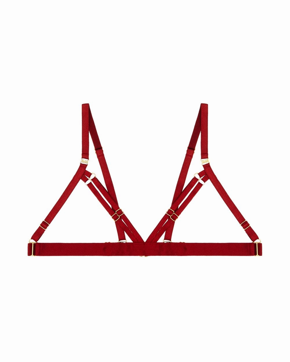 10 Year Exclusive Frame Bra