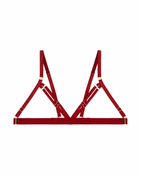 10 Year Exclusive Frame Bra
