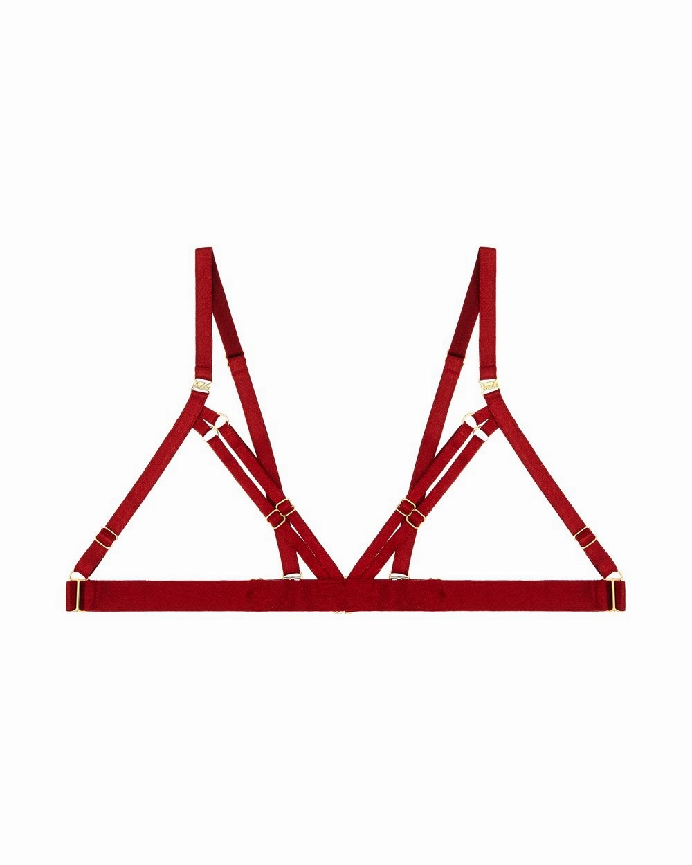 10 Year Exclusive Frame Bra