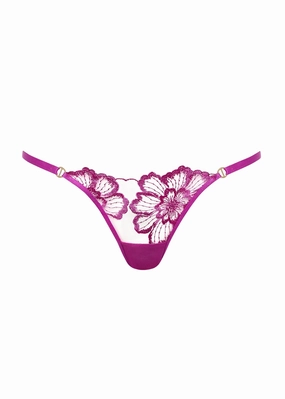 Catalina Brief (Bright Violet / Sheer)