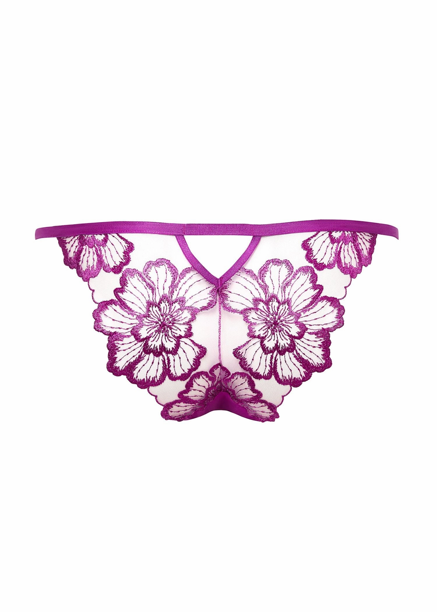 Catalina Brief (Bright Violet / Sheer)