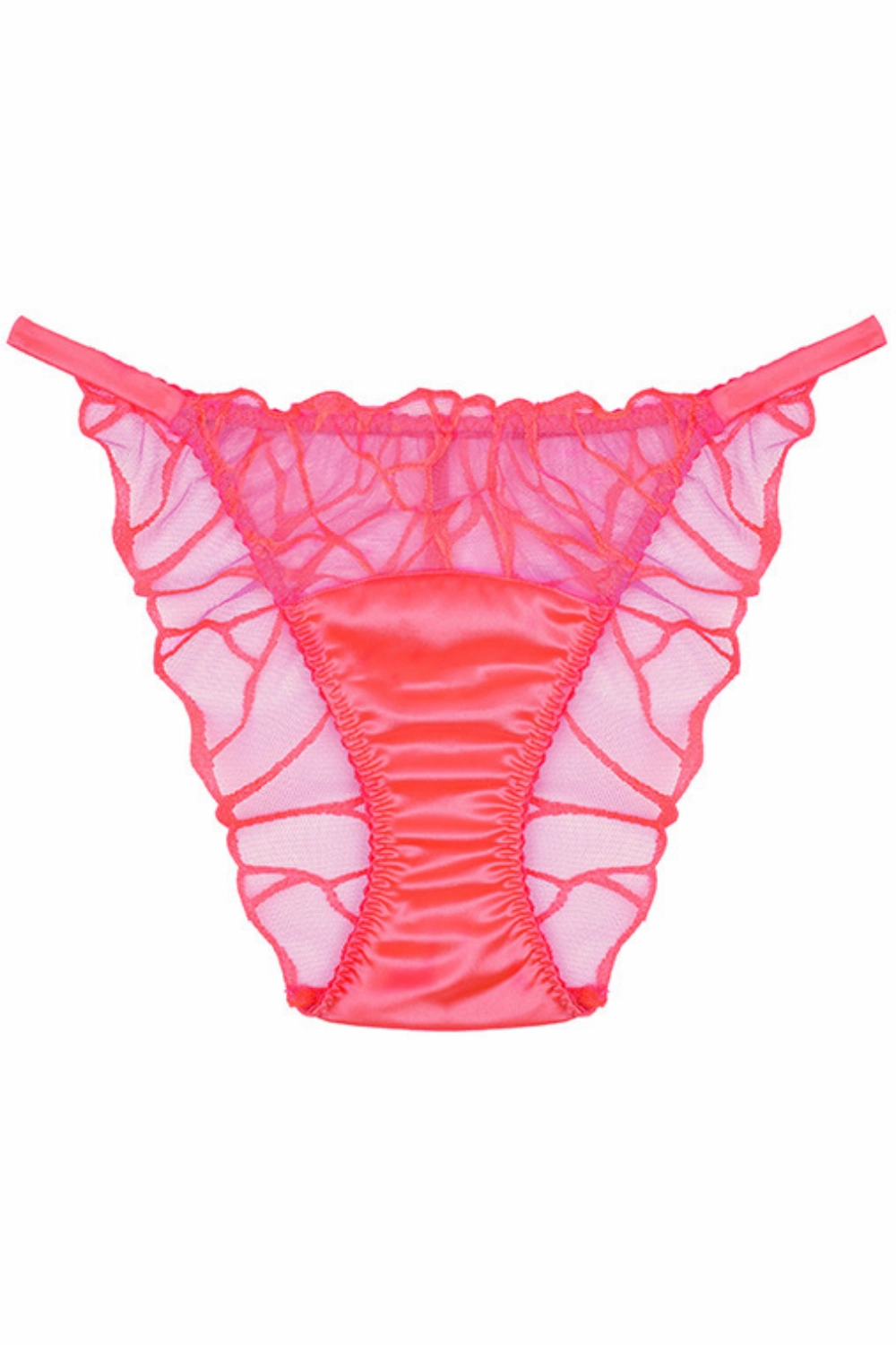Cleo Brief