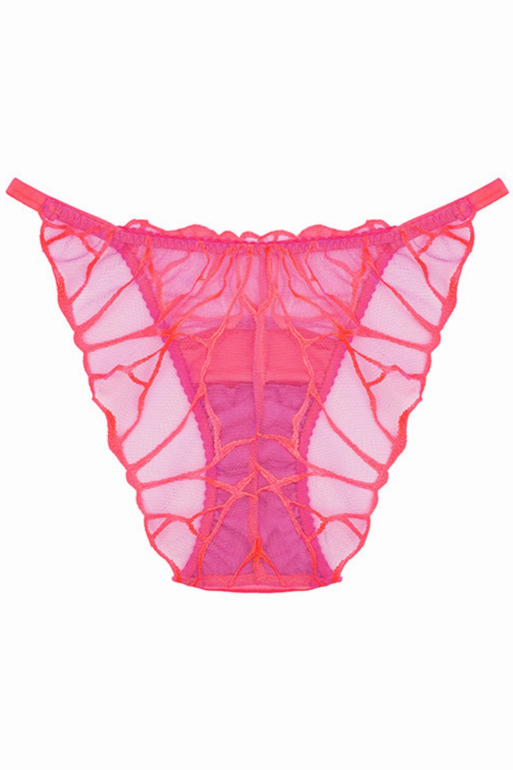 Cleo Brief