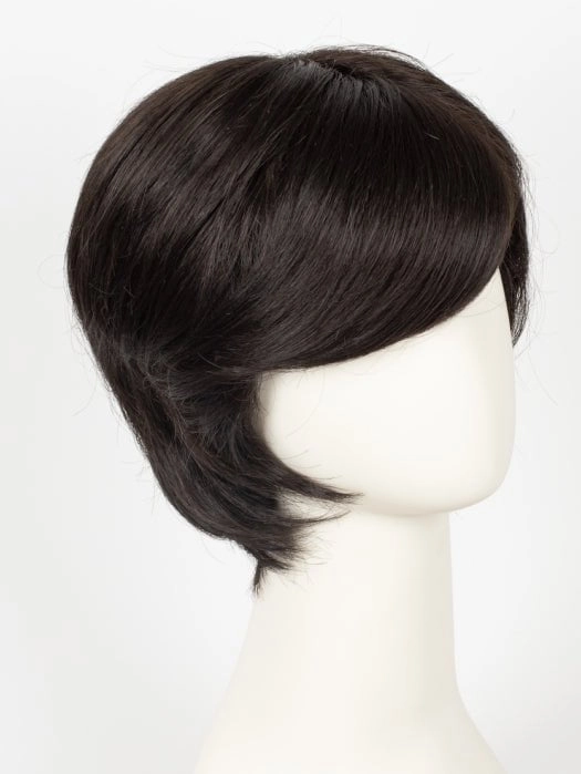 Gary | Synthetic Lace Front Wig (Mono Top) | CLOSEOUT
