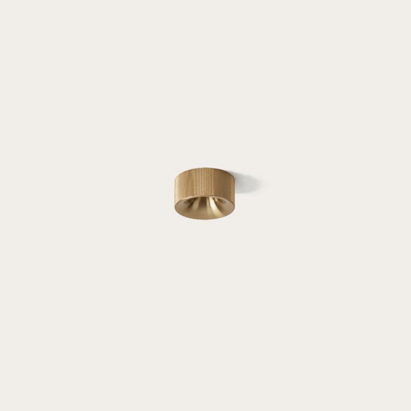 Mini Minimalist Downlight