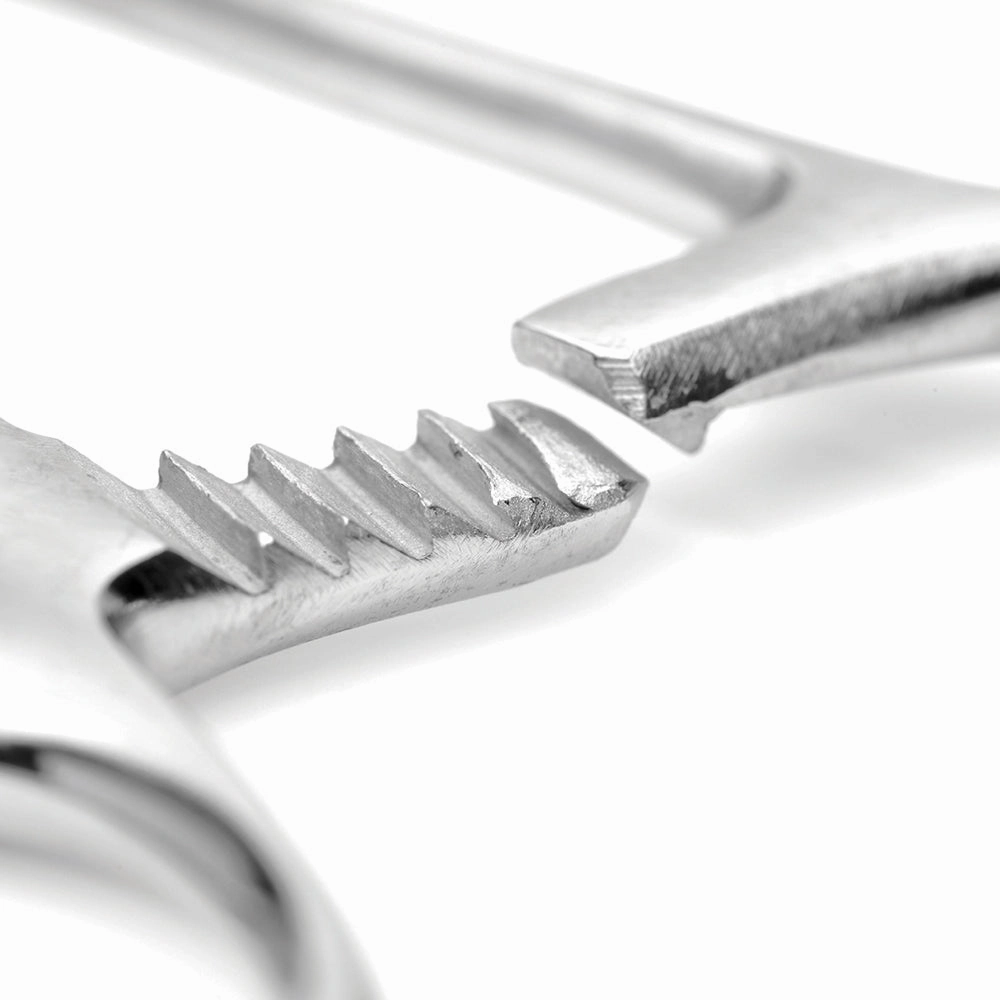 Mistress by Isabella Sinclaire - Young Forceps