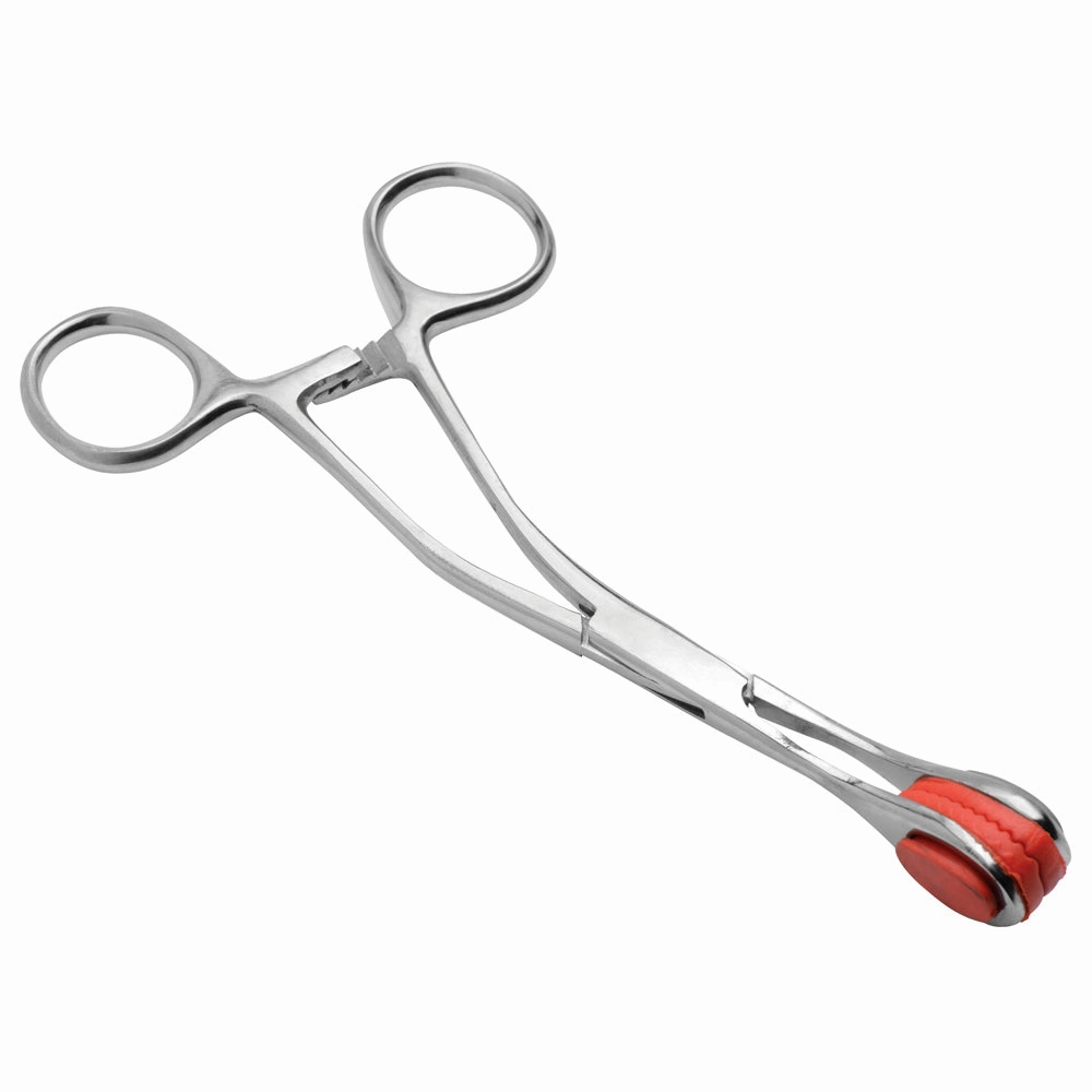 Mistress by Isabella Sinclaire - Young Forceps