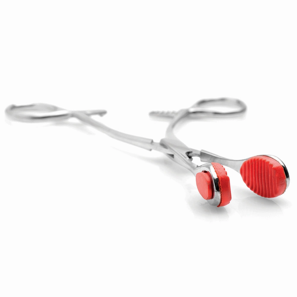Mistress by Isabella Sinclaire - Young Forceps