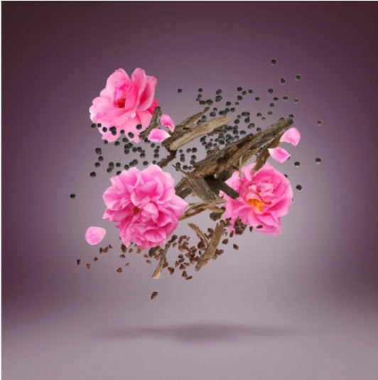 Oud Stars - Oud Luban