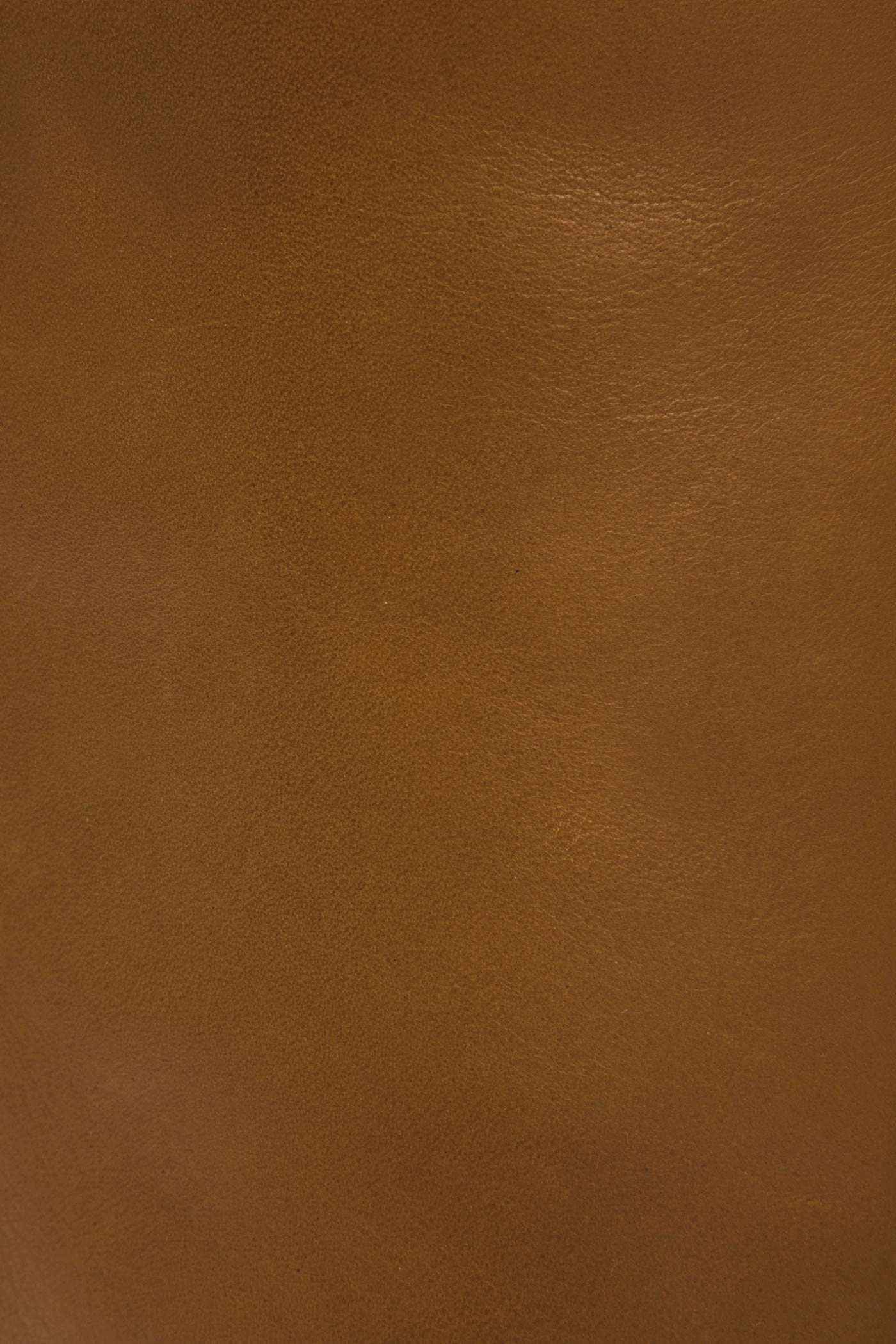 Paige Tall Riding - Pre-Loved